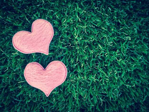 Respectful disagreement and constructive feedback