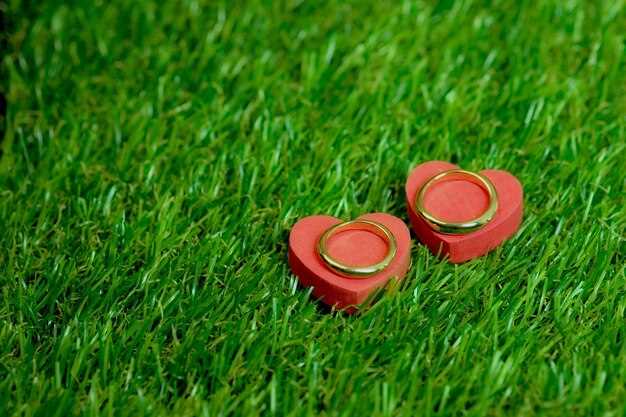 10 Green Flags to Look Out For in Your Relationship