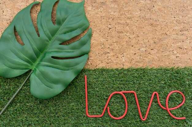 25 Relationship Green Flags – What Healthy Love Feels Like