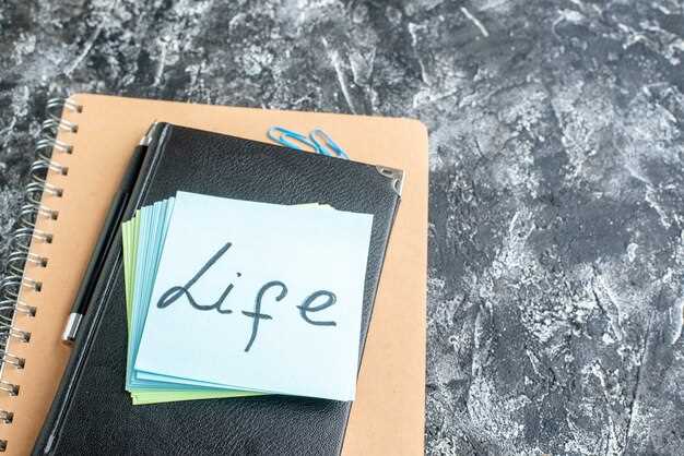 Stop Delaying: A Practical Plan to Start Living Now