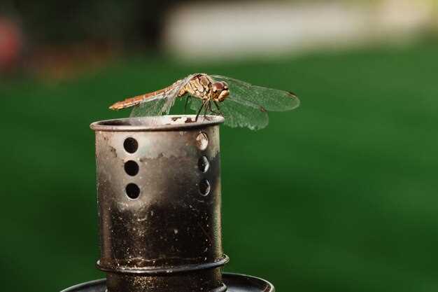 Swipe Timing and Match Quality: When to swipe for better results