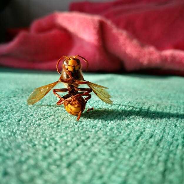 Profile Photo Strategy: Use clear, recent, varied images that reflect real life