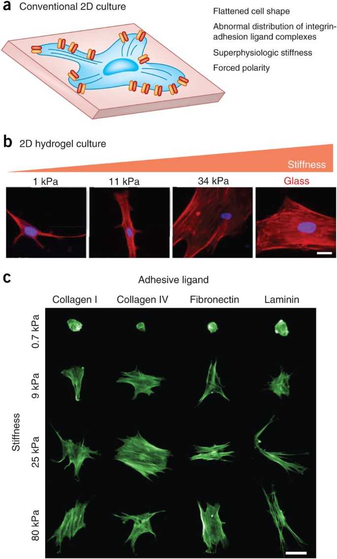 Use light, playful banter to build rapport without pressure