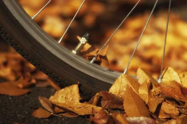 Autumn Cycling Essentials: Practical Tips for Safe and Enjoyable Rides