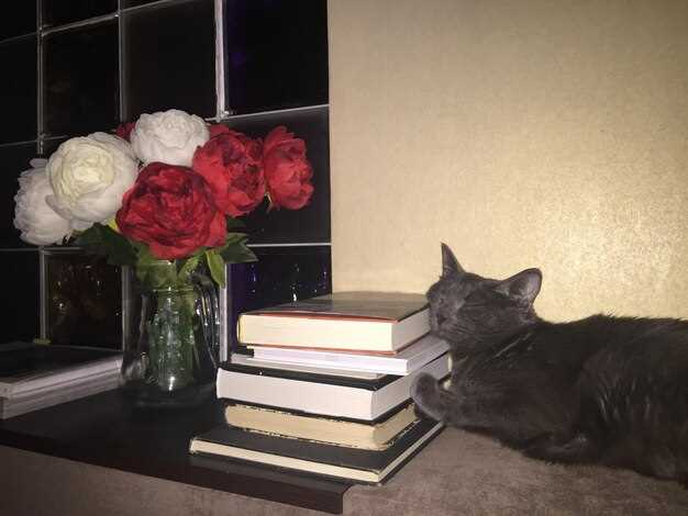 Boundaries with safe people: practical phrases to use