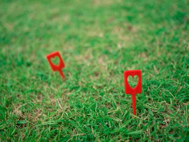 Willingness to be vulnerable: sharing feelings and fears