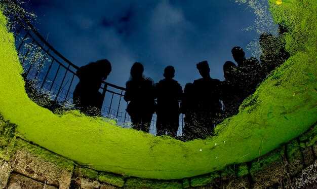 Design a 30-Day Action Plan for Personal Growth